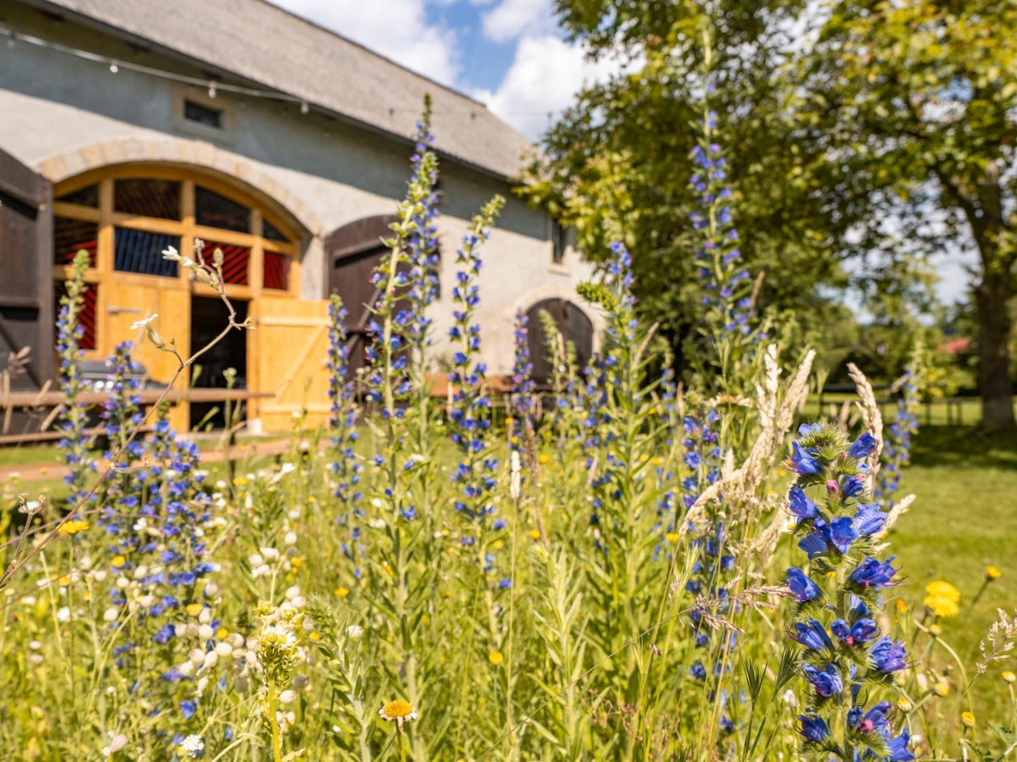 Hinterland Hostel Rathen Kültér fotó